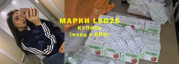 прущие грибы Карпинск
