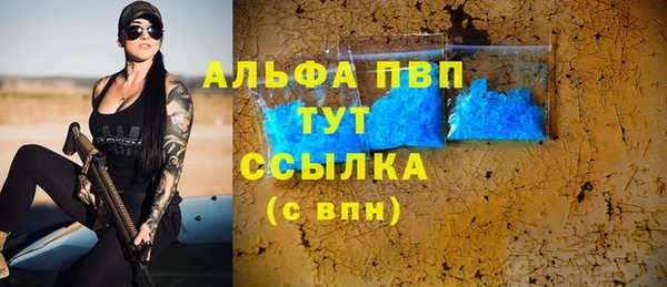 прущие грибы Карпинск