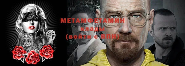 прущие грибы Карпинск